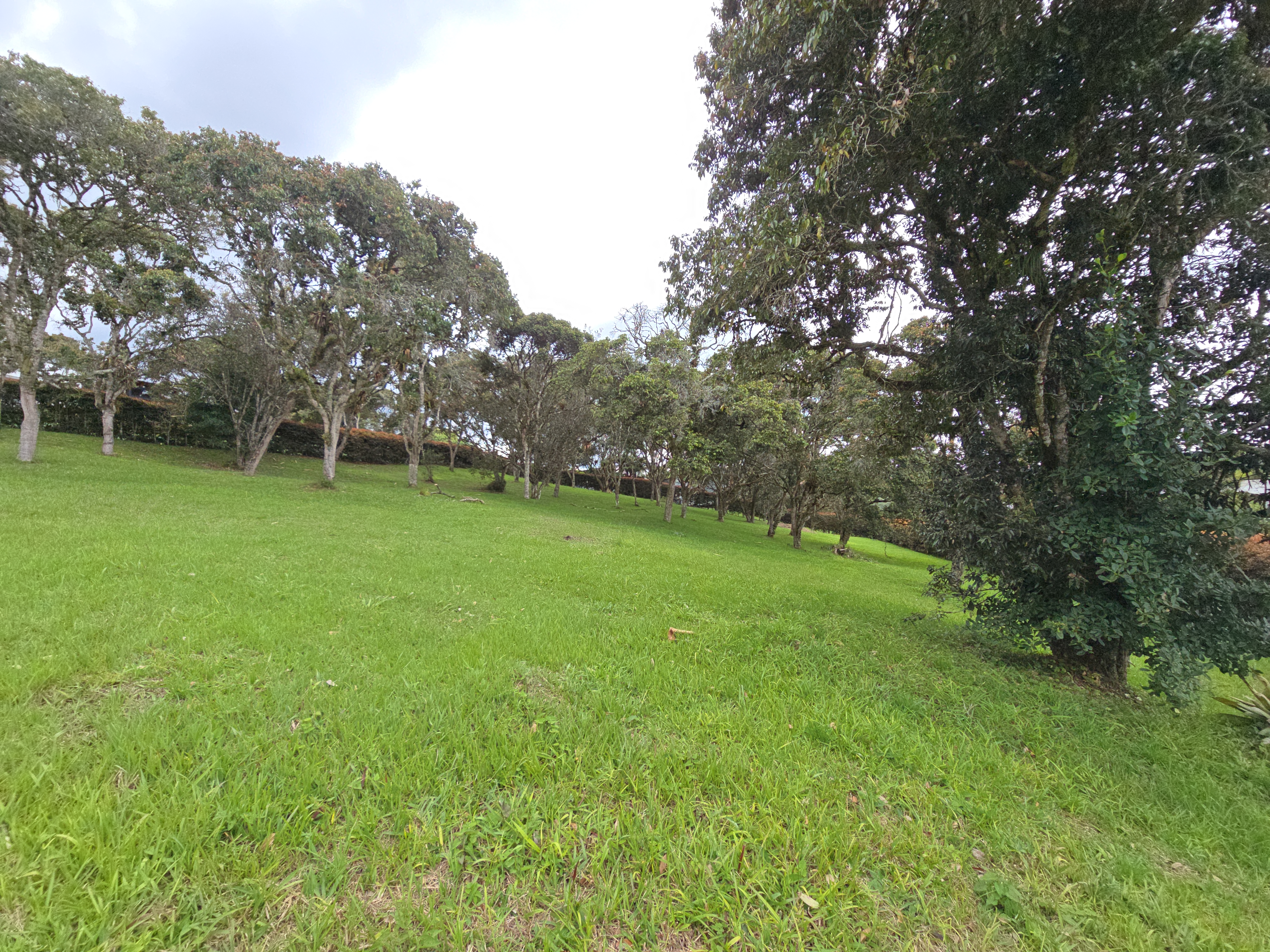 Lot en Llanogrande